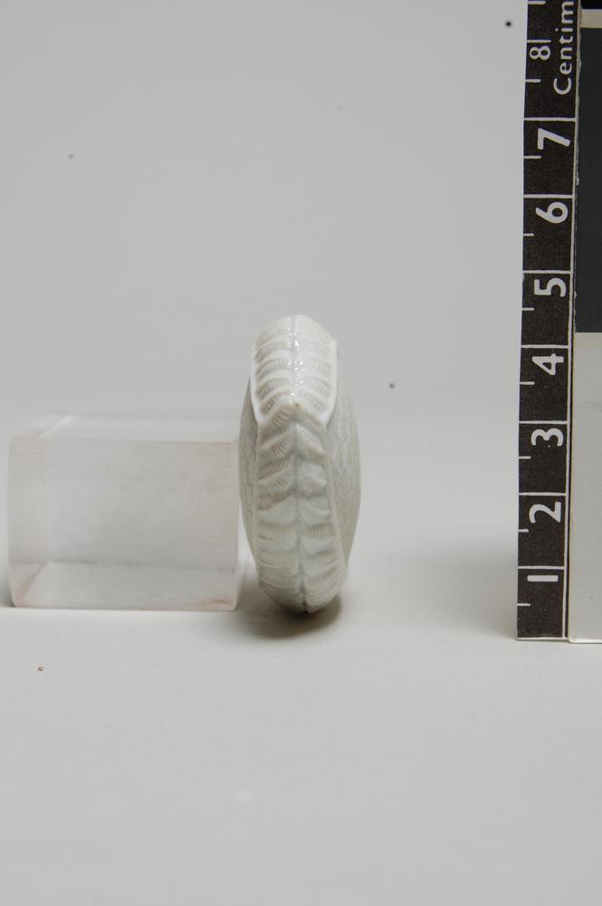 图片[3]-snuff-bottle BM-Franks.954.+-China Archive